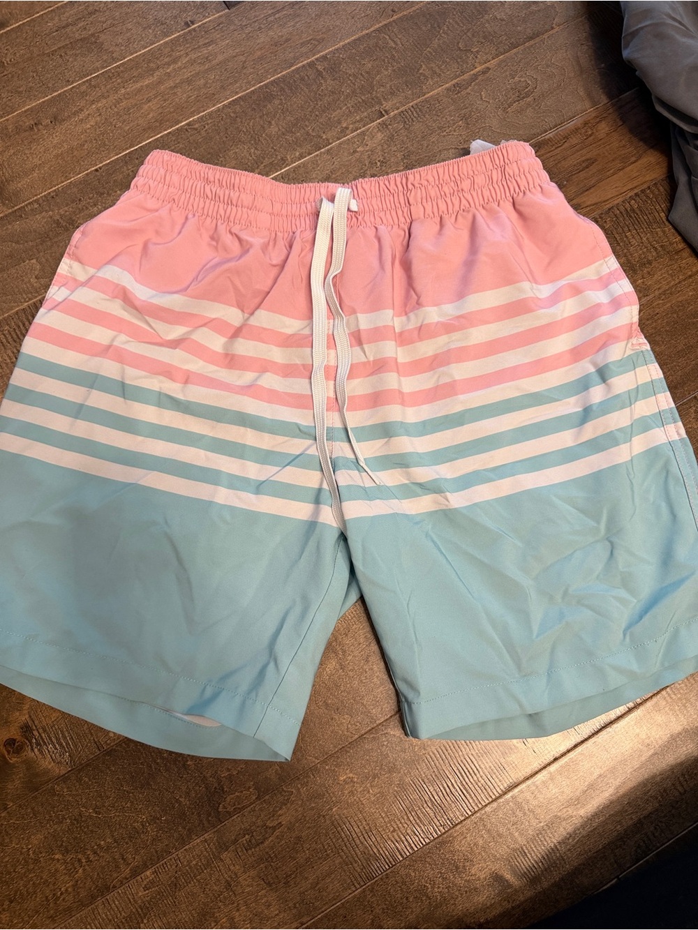chubbies Pink and Light Blue Striped Men’s Swim Trunks